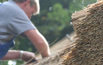 professional Rosley thatchers